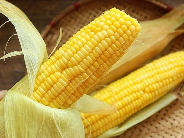 Nằm mơ thấy bắp ngô có số gì may mắn, mang điềm báo gì